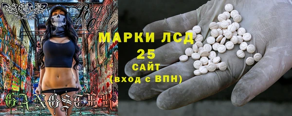 ГАЛЛЮЦИНОГЕННЫЕ ГРИБЫ Абаза