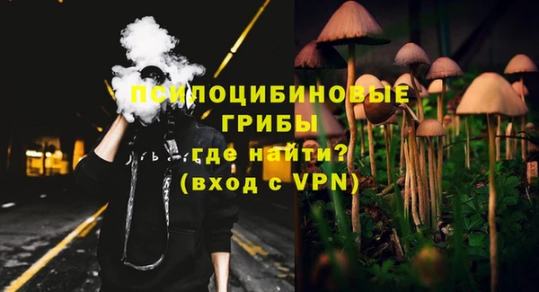 стаф Абдулино