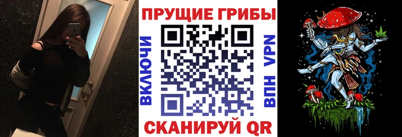 Галлюциногенные грибы мицелий  блэк спрут сайт  Бугуруслан 